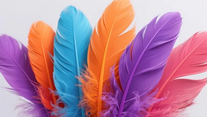 Fototapeta premium Colorful feathers closeup
