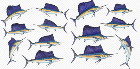 A collection of detailed sailfish illustrations in various swimming and leaping poses, showcasing their large blue dorsal fins on a grid background.