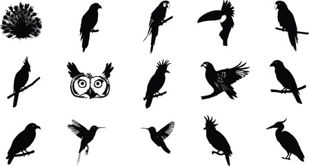 Obraz premium Bird silhouette collection, exotic birds, tropical birds, parrots, hummingbirds, owl eyes, peacock, cockatoo, toucan, flying bird, bird perched, wildlife nature