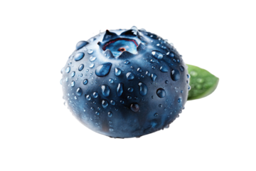 Fresh blueberry with dew drops isolated on white background close-up healthy food nutrition