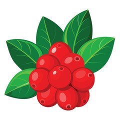 Bunch Of Red Berries With Green Leaves fruit