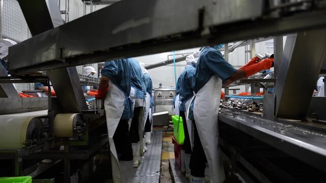 Factory Workers Sorting Produce: Workers in a food processing plant, wearing protective gear and gloves, meticulously sort fresh produce on a conveyor belt.