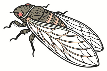 Detailed Illustration of a Cicada Insect with Prominent Wings and Body Markings a Blend of Natural Colors
