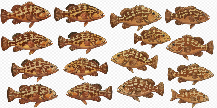A pattern of sixteen brown spotted grouper fish arranged in a rectangular grid.