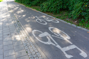 Bicycle path with white bike markings on asphalt, next to paved sidewalk and green bushes along the side.