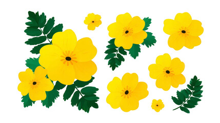 Yellow flower green leaf tropical botanical nature summer floral blossom garden decorative. Yellow flower and green leaf illustration with tropical botanical style perfect for summer garden