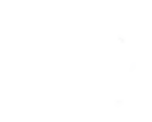 Detailed Silhouette of South Australia Region Map