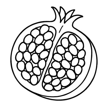 Detailed black and white line art illustration of a pomegranate fruit, precisely cut in half to distinctly reveal its intricate internal structure, with two sections packed with juicy, seed-filled ari