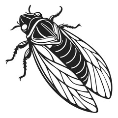 Detailed Monochrome Illustration of a Cicada Featuring Prominent Wings and Body Markings Depicted in High Contrast Black and White