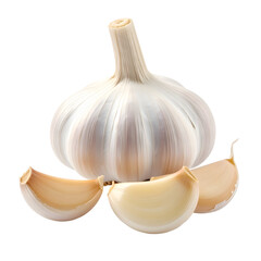 Whole garlic bulb and individual cloves as a fresh cooking ingredient, isolated on a transparent background