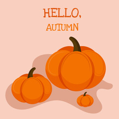 Vector illustration of pumpkin. Hello autumn. Halloween
