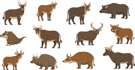 Set of different antelopes. Vector illustration in flat style.