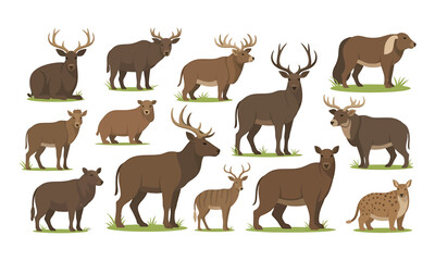 Set of different antelopes. Vector illustration in flat style.