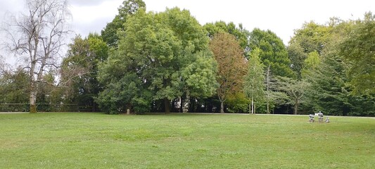 Explanada verde con árboles al fondo. Naturaleza viva