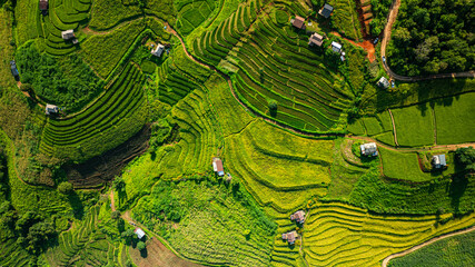 Aerial top view of terraced rice fields in a charming valley of green rice fields and lush forests covered in morning mist, creating a peaceful and atmospheric rural atmosphere. beautiful nature