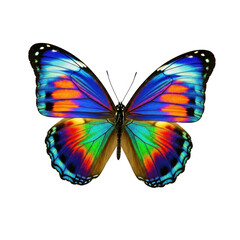Obraz premium Vibrant rainbow butterfly wings detailed close-up macro photography nature beauty transparent background