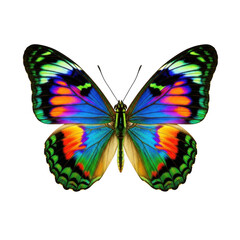 Vibrant butterfly with intricate wing patterns and stunning color spectrum flying freely transparent background