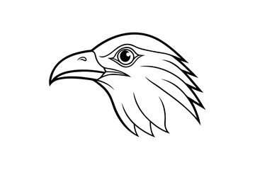 Obraz premium Eagle head in profile with curved beak, isolated on a transparent background