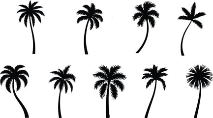 Silhouette vector illustration of various palm trees with different shapes and sizes, tropical nature, summer theme, exotic island, tropical plants