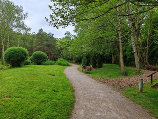 Green park pathway with benches among trees