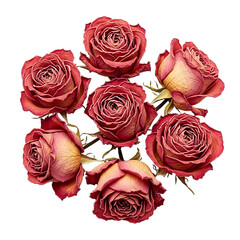 Dried Roses Bouquet Still Life Red And Pink Petals Floral Arrangement Romantic Faded Beauty on transparent background
