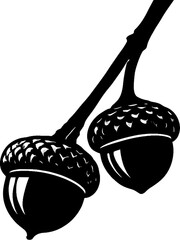 acorns on the branch