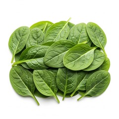 Fototapeta premium Fresh baby spinach leaves are stacked tightly on top of each other, the green color indicates the freshness of the spinach, it is suitable for vegetarian diet and salads