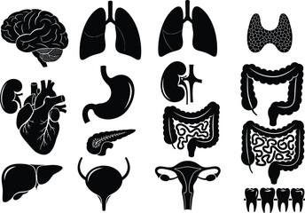 Collection of stylized black and white illustrations of human internal organs for medical and educational purposes