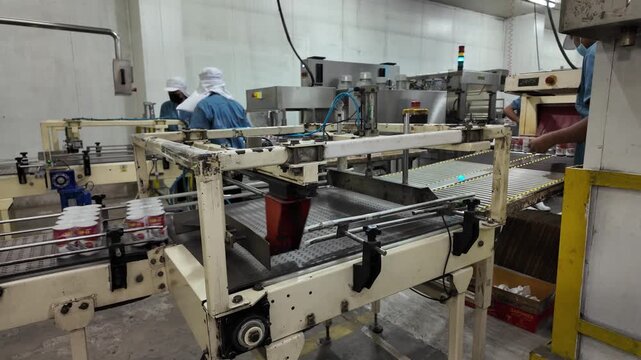 Food Processing Machinery: Automated conveyor belts and packaging equipment operate within a sterile food production facility, showcasing modern industrial processes for mass food manufacturing.