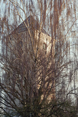 Jelgava Holy Trinity Church tower through tree branches