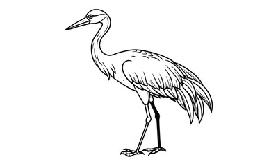 Obraz premium Crane Kids t shirt design silhouette and vector line art, High-Quality Illustration, Ideal for Relaxation and Stress Relief, Perfect for Adult Coloring Books and Printable Art Therapy.