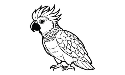 Fototapeta premium Cockatoo Kids t shirt design silhouette and vector line art, High-Quality Illustration, Ideal for Relaxation and Stress Relief, Perfect for Adult Coloring Books and Printable Art Therapy.