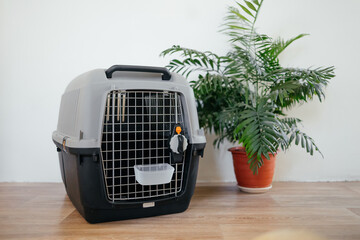 Pet carrier. An advertisement for a pet store. Dog delivery. Delivery of cats. Advertising of a...