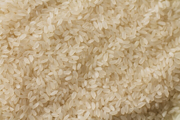background of rice