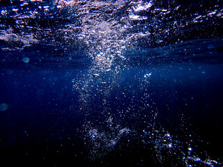 Obraz premium bubbles, bubble, water, underwater, sea, air, deep, undersea, under, background, wave, liquid, clear, clean, ocean, nature, texture, oxygen, blue, white, effect, transparent, foam, aquarium, aqua. 