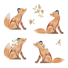 Watercolour illustrations png set. Hand drawn foxes and flowers