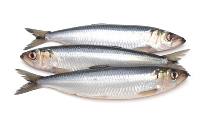 Three small silvery fish arranged on a white background