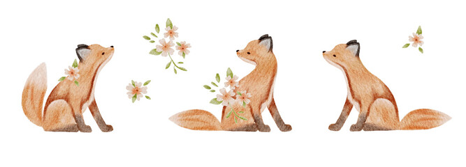 Watercolour illustrations png set. Hand drawn foxes and flowers