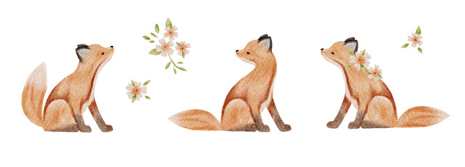 Watercolour illustrations png set. Hand drawn foxes and flowers