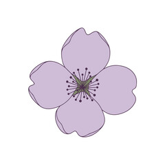 Fototapeta premium Delicate lavender petal flower with starburst center and outline details illustrating nature's gentle beauty
