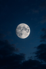 Moonlit Night high quality realistic image.