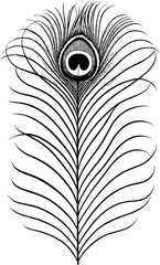 peacock feather vector illustration