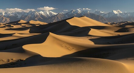 Cold Desert Landscape - Sand Dunes and Snow-Capped Mountains.