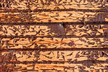 Old peeling brown paint wood plank messy board abstract wooden surface obsolete texture weathered background