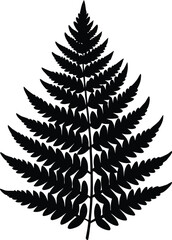 Fototapeta premium fern leave logo silhouette vector illustration