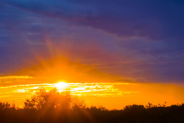 dramatic sunset over the forest silhouette