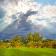 small calm lake among forest under dense cloudy sky at the sunny day
