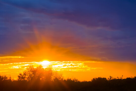 dramatic sunset over the forest silhouette