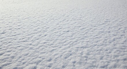 Crisp White Snowfield Under Bright Sunlight in Winter Landscape