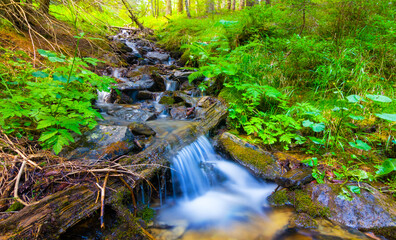 small mountain brook rushing through canyon over a stones